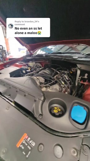 Appreciating the Holden VE SV6 Commodore