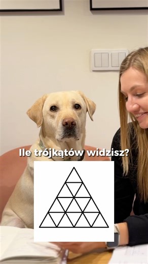 Ile trójkątów widzisz? 👀Napisz liczbę w komentarzu ✍️Matematyka | mathflow | zagadka matematyczna
