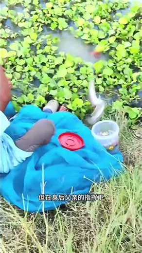 Boy Catches Giant Catfish in Minutes | Amazing Fishing Skills #shorts #facts