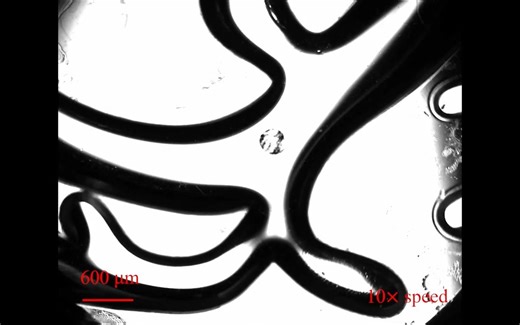 磁群纳米机器人时空驱动水凝胶