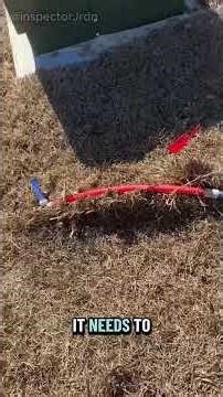 Home Inspector Met with a Mess at the Front Door 😬