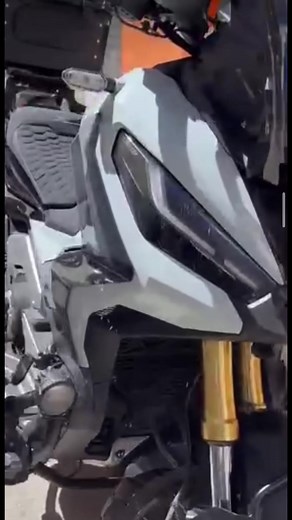 Royal Sellerie op TikTok