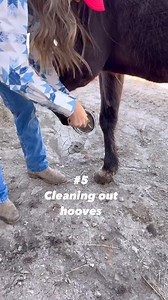 It’s the perfect everyday carry for me as a farmer and rancher! #tools #longlivecowgirls #Morning #fyp #GoodDay #cool | Jack H.
