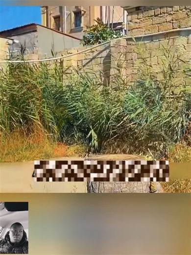 234K views · 1.7K reactions | Tu ne vas peut-être pas le croire, mais ce treillis métallique, qui semblerait inutile #abantapre #avantapres #astuce #followersreelsfypシ゚viralシfypシ゚viralシalシ #fcboocklite | Ruby Hunter | Facebook