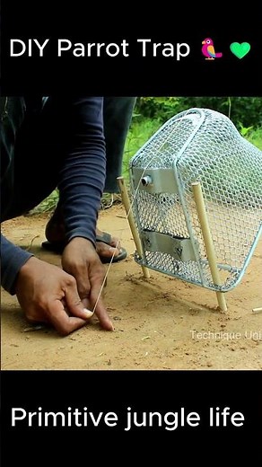Motorcycle Basket Parrot Trap | Primitive Skills (1 miunute) 🪶