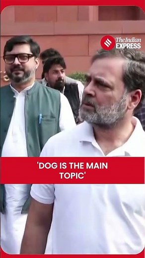 Dog Row in Parliament: Rahul Gandhi Says Nation Diverted by Trivial Debates