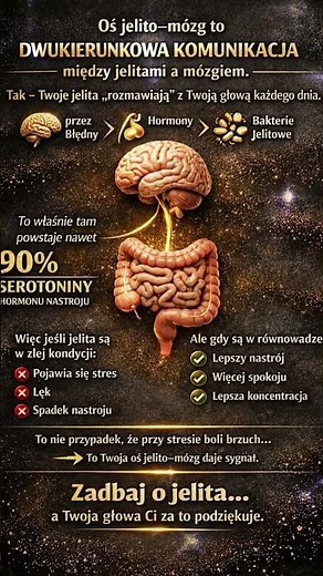 Oś jelito -mózg #stres #serotonine #mozg #zdrowie