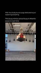 Our pages teaches you something NEW every day 🧠 💫 #reels #learn #interesting | Explaining Everything