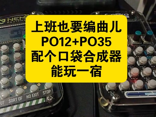 P035 PO12 口袋效果器looper随便乱编点啥