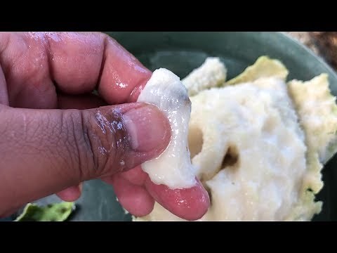 Growing SOURSOP (from seed)= Guanabana = Annona Muricata