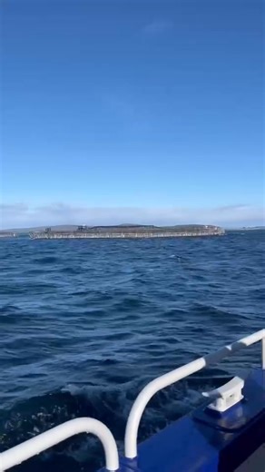 More than 220 locals took part in tours of Huon’s land-based salmon farming facilities and marine pens today. The tours were an opportunity for community members to see salmon farming operations first-hand. The team answered questions about the rigorous environmental monitoring that is undertaken by Huon and regulated by the EPA, that covers every stage of production from egg to harvest and even processing. Thanks to everyone that attended today, we look forward to holding more tours soon. #Ocea