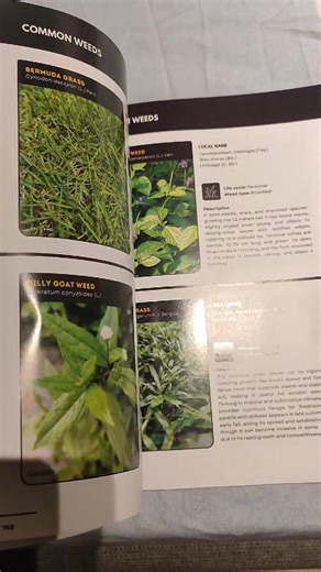 Pagkalovely! Salamat, Ma'am Jas! Common Urban and Peri-Urban Crop Pests and Diseases Management Guide. Makahappy sa adlaw! | Jesryl B. Paulite