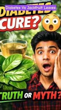 Jackfruit Leaves Vs Diabetes 🚨🌿 Cure or Hype || The Way of Jackfruit Ep 11: #agrifuture #facts