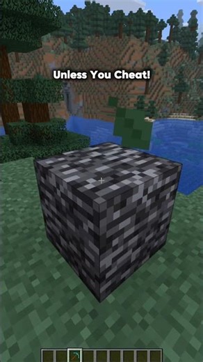 Minecraft You Know Whom to Share...💀 #minecraft #viral