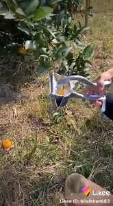 5.5K views · 24 reactions | Multifunctional Manual Orange juicer...