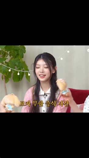 Exploring the Cute and Awkward: Moka and Illit Pouches