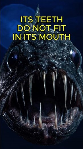 This Fish Has Teeth So Big They Do Not Fit in Its Mouth
