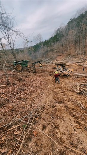 165K views · 1.5K reactions | Swamp logging #loggertok #wrapandsplash #foryoupage #tigercatforestry #woodwork #britishcolumbia #blackandwhitephotography #hilights #rescueteam #staysafe | Peake Warren | Facebook