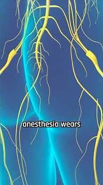 How Anesthesia Puts You to Sleep #doctor #health #science #hospital