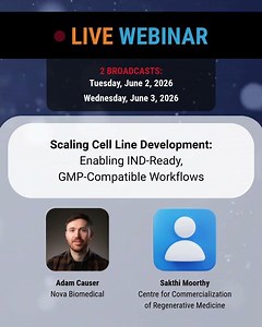 Scaling Cell Line Development: Enabling IND-Ready, GMP-Compatible Workflows