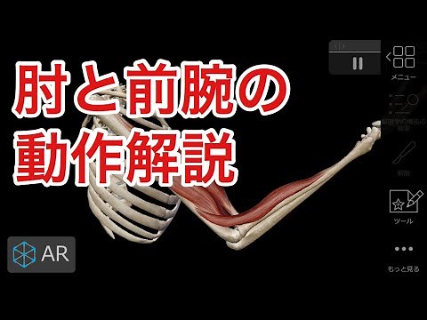 Functional Anatomy: Elbow and Forearm Movements