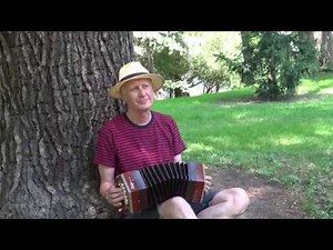Stagi Concertina Demo