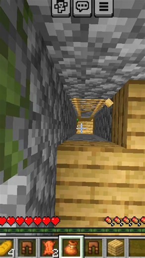 Village Treasure Room #minecraft #ytshorts