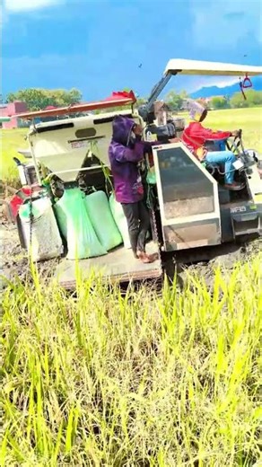 MAXXI || #combineharvester #maxxibimoterbaru #maxxibimo102standar #farming #combinepadi #automobile