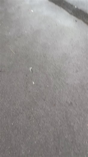 Christmas market at the Allendale Centre in Wimborne. Courtesy of @the_little_craft_shack 10am-4pm Loads of great stall holders here. And of course our great crumbly fudge. Great for an indulgent treat today. Or a Christmas present for a sweet toothed loved one! Come on down and say hello. Remember. 2 minutes silence at 11am #fudge #fudgelovers #fudgelife #wimborne #thefudgeemporium #sweets #sweettooth #remembranceday🌹 | The Fudge Emporium