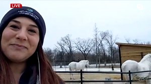 Assiniboine Park Zoo offering Creature Features