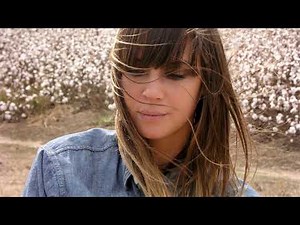 Cat Power - Lived In Bars {2006}
