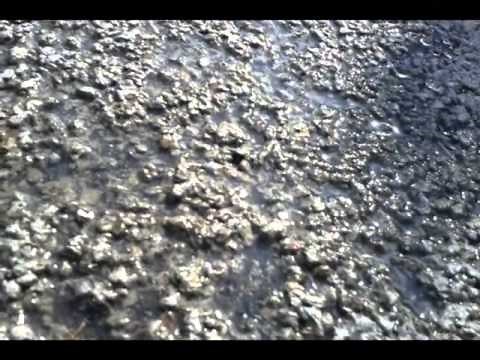 Pervious Concrete - The Ugly, the Bad and the Good