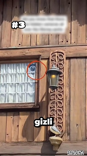 Disneyland'ın Sıra Dışı Güvenlik Önlemi