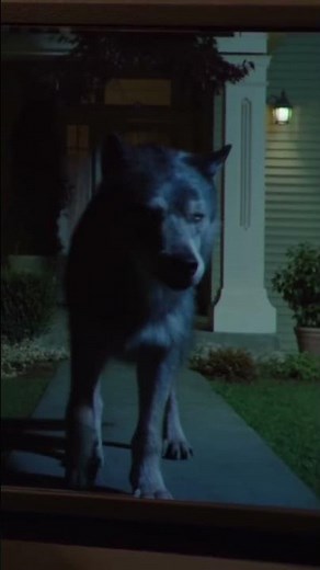 Werewolf Transformation caught on ringcam