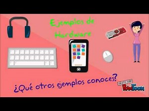El hardware y el software