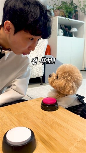 말로 대화하는 두 천재견의 반응 #시트콤