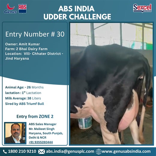 ABS India Udder Challenge – Entry #30 | Structural Discipline. Consistent Delivery. Entry #30 reinforces a simple truth: profitable udders are built on structure first. This entry reflects balanced udder development with controlled depth, strong support, and functional teat alignment—designed to keep milking efficient and stress low across lactations. This isn’t about oversized claims. This is about predictable execution. An udder that holds shape under pressure. A cow that keeps delivering with