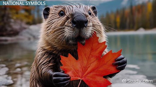 Canadian National Symbols | History, Significance & Examples