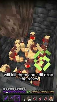 How to farm wither roses! #minecraft #wither