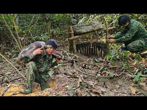 185 Days Alone in the Wilderness | Wild Boar Trapping, Shelter Building & Survival