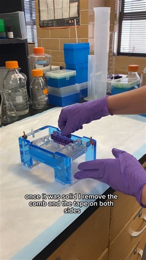 Bio Britt | Make a gel with me! I used my new Milli-Q SQ system to make an electrophoresis buffer and DNA gel. The Type 1 water from the Milli-Q SQ... | Instagram