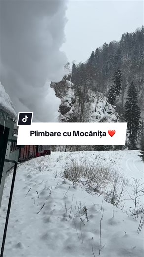 Experiența Plimbării cu Mocănița în Maramureș