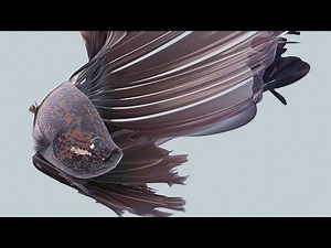 I Put 2 Moving Fish in Blender