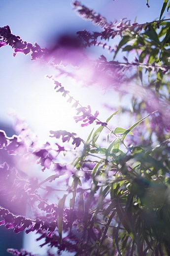 【実機レビュー】Leica M11-Pを選りすぐりのレンズで堪能！動画でご紹介します。 | THE MAP TIMES