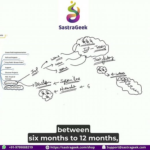 What is Master Data Project in SAP make for this