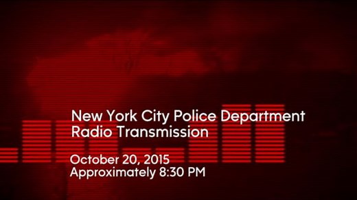 Radio Transmissions in Fatal NYPD Officer Shooting Released