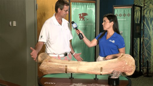 MOSI opens new mythical creatures exhibit