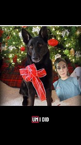 The best girl Heidi who we miss everyday! | Becca Miller