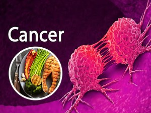 Ketogenic Diet Can Help In Fighting Cancer, Finds Study