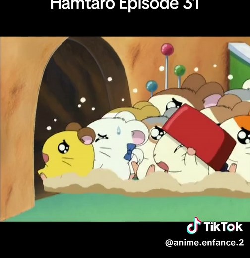 Aventure avec Hamtaro et l'Amiral : Un chaton perdu